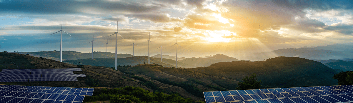 business-with-biodiversity-header